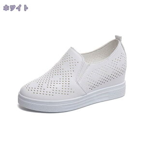 300~OFFN[| Xb| fB[X  t ʋC Xj[J[ [Jbg Cq[ Ȃ JWAV[Y 6cm q[ s 傫TCY EhgD t  Ȃ ʋ 