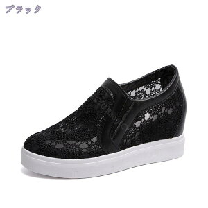 Xb| T_ Xj[J[ fB[X  JWAV[Y EFbW\[ Ȃ ₷ ɂȂ V[Y ʊw ʋC ʋ  Cq[ [t@[ bV