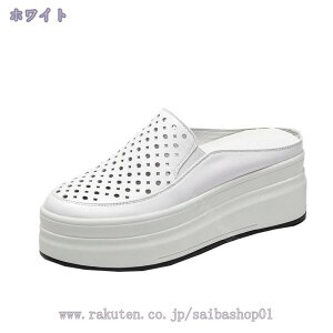 2000~OFFN[| U[ Xj[J[ Xb| JWA Xbp  T_ ₷ fB[X  6cm [Jbg  Xj[J[ T_ ؂ tbgV[Y Xb