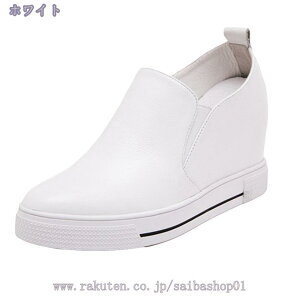 1000~OFFN[| Xb| fB[X  U[ Cq[ Xj[J[ ₷ ₷ Ȃ r Vv  n  ubN  zCg V[Nbg JWA