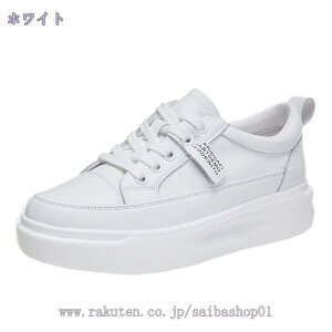 1000~OFFN[| Xb| Xj[J[ fB[X    [t@[ [Jbg C TChSA  JWAV[Y tbgV[Y 4cmq[ s w ʋ ʊw X