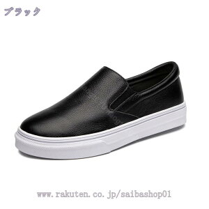 777~OFFN[| Xb| fB[X  y tbgV[Y Xj[J[ n JWA Xb| 傫TCY ʋ ʊw ^C fbLV[Y [t@[ ɂȂ Xj