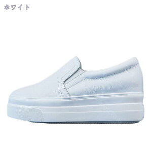 1000~OFFN[| Xb| fB[X Xb| Xj[J[ ؂񂱌C Xj[J[ JWA  23.5cm s  RXv JWA JWA  ʋΒʊw Xj[