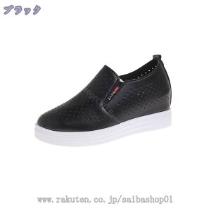 1000~OFFN[| Cq[ Xj[J[ fB[X Xj[J[   RȂ V[Nbg V[Y V[Y Xj[J[ p  Xb| Vv [Jbg  ʊw