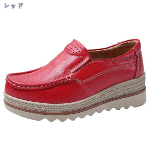 ؂ Xb| fB[X [t@[  ʋC K V[Y tbg JWAV[Y TCY 傫TCY ₷ ɂȂ  ʋ ʊw L U[Xj[J[ 