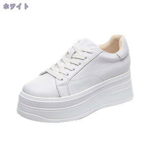 Cq[Xj[J[ fB[X Xj[J[ JWAV[Y  r V[NbgV[Y V[Y [XAbv 7cm q[Abv y gAbv wlC [t@