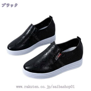 500~OFFN[| ₷ Xb| fB[X C Xj[J[   Ȃ ؂ tbgV[Y JWA ʋ ʊw ^C ɂȂ Vv   EFbW