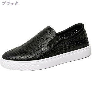 fB[X Xb| Vv  K  tĕ RȂ r Vv  [Jbg ۃgE U[ _炩 ʋC U ₷  ₷ V[Y C JWA