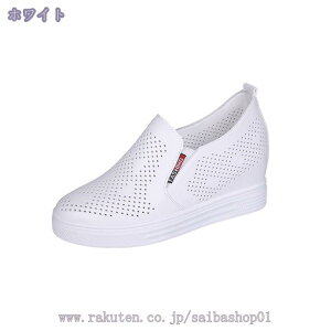Xb| Cq[  fB[X Xj[J[ 傫TCY  25.0cm R zCg Cq[Xj[J[ 5.5cm 5.5Z` ₷ E₷ ɂȂ JWA  V[N