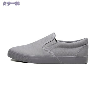 500~OFFN[| XbvI Y fbLV[Y  h Ȃ EȒP  ~ ʋC y [Jbg ItBX ʋ ʊw JWA RtH[gV[Y L