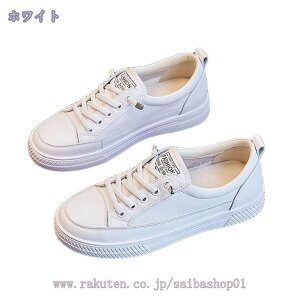 300~OFFN[| fB[X xNXj[J[ xN Xj[J[ ؂ zCg ubN    V[Y C tbg [JbgXj[J[ 킢  l }WbNe