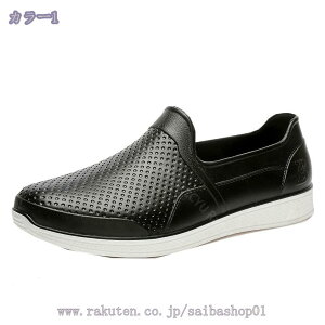 777~OFFN[| Y  Cu[c JC CObY CV[Y V[gCu[c IV ~J΍ h h ~ K y JWA Xj[J[ ʋ ʊw 