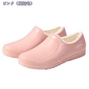 500~OFFN[| CpvX fB[X h y o[V[Y h JC h  CpvX [q[ ʋ ʊw EhgD wlC ~J Jp ʋ ʊw y 