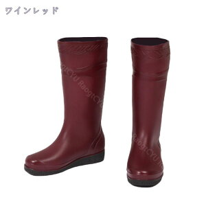 1000~OFFN[| CV[Y Cu[c fB[X JC  傫TCY t@bV CObY ɂ h ʋ ʊw _炩  K[fjOCV[Y 