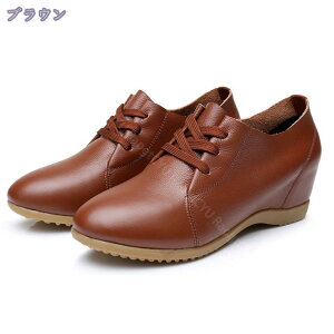 fB[X IbNXtH[hV[Y JWAV[Y [XAbvV[Y Cq[ EhgD ɂȂ ₷ 傫TCY _炩 {v i JWA y 