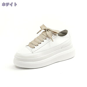 777~OFFN[| fB[XV[Y V[Y Xj[J[ q[7cm Cq[ Xj[J[ fB[X C Xj[J[ nCJbg r ₷ Ȃ y` ɂȂ J