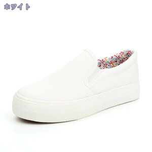 500~OFFN[| ؂ fB[X Xb| RȂXj[J[ TChSA [Jbg tbgV[Y JWAV[Y JWA Xj[J[ ɂ ₷ ~ 