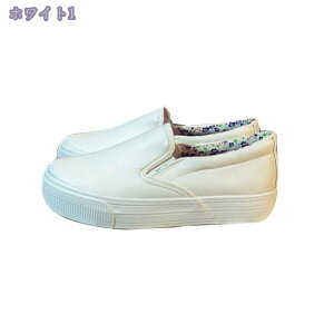 760~OFFN[| ؂ fB[X Xb| RȂXj[J[ TChSA [Jbg tbgV[Y JWAV[Y JWA Xj[J[ ɂ ₷ ~ 