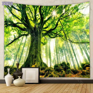 300~OFFN[| ^yXg[ CeA X  A  z   i iF  z|X^[  v[g TvCY NVbN wi C CeA Ǌ| Ǐ g z