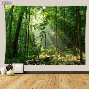 300~OFFN[| ^yXg[Ri唻 Z`[gCeA@\/͗lւ_Ԏd؂ȒPBepzJ[eVzjv[gǊ|^yXg[X 