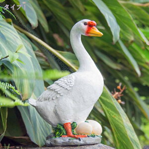 500~OFFN[| K`E u IuWF Ђ G AȃAq O[X { I[ig G K[fjOG  i H|i ɒu 낪ɂ₩ A