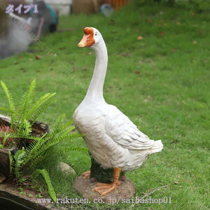 1000~OFFN[| K`E u ^ CeA A u O[X zCg   r Ő | K[fI[ig |W K[fjOu { O[Xu