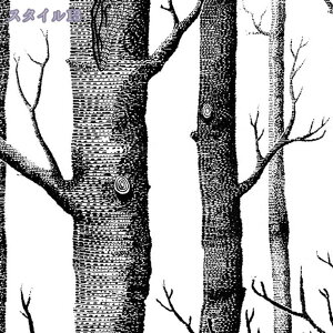 300~OFFN[| ǎ V[ ؖ NX ؖڒ ͂ ǎ CN V[g k  h C ǎV[g ǎ V[ ͂ NX ̂t CNV[g ǎV[ ͂