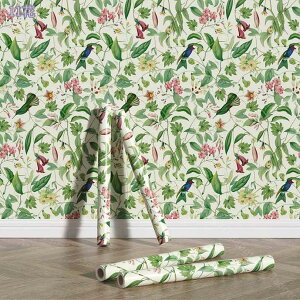 500~OFFN[| ǎ ԕ t  ǎ EH[y[p[ NX ǎ k AeB[N ǎ A CeA ǎV[ ԕ NX CNV[g ԗt JbeBOV[g C