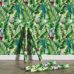 300~OFFN[| ǎ ԕ t  ǎ EH[y[p[ NX ǎ k AeB[N ǎ A CeA ǎV[ ԕ NX CNV[g ԗt JbeBOV[g C