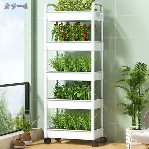 1000~OFFN[| Lb`S LX^[t k l炵 F oXPbg 5i [J[g Lb`[  |bN AI  rO[ oRj[ Q t[