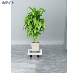 300~OFFN[| ړ Aؔ S u v[g ԑ LX^[t uI[vbN v^[bN  ACA t[X^h zCg ubN AؔbN 