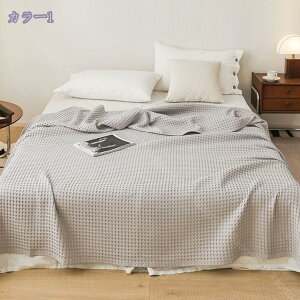 300~OFFN[| K[[Pbg n[t TCY 100×150cm K[[ 100% ې   k uPbg Ђ| Rbg xr[Q zU z   I[V[Y v