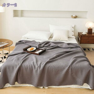 1000~OFFN[| K[[Pbg n[t TCY 100×150cm K[[ 100% ې   k uPbg Ђ| Rbg xr[Q zU z   I[V[Y v