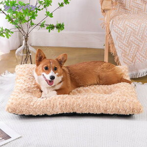 ybgpNbV  L xbh NbV }bg ӂӂ ~ xbh ybg}bg xbh ^ L  p NbV g ΍ P[W NbV 薰