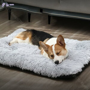 300~OFFN[| ybgNbV ybgxbh p`  L ^ ^ ^ Lxbh xbh 􂦂 tl ӂӂ ӂӂ _炩 ʔN I[V[Y Lxbh xbh 