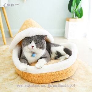  L nEX h[  q ^ Lp ɂnEX ~ g 􂦂  킢 ^  ۉh ӂӂ NbV 薰 h[^xbh  