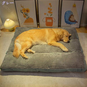  xbh L  NbV ybgxbh q Lp ʔN ~ h g \ ʋC ݂h _炩 􂦂 ` ^ ybgpi  ^ꂵȂ v[