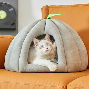 1000~OFFN[| L nEX ~ J{` 킢 Lxbh ybgxbh ~p g ӂӂ Lp x bh ^ LbgnEX NbV Q ybgnEX ~΍ g 