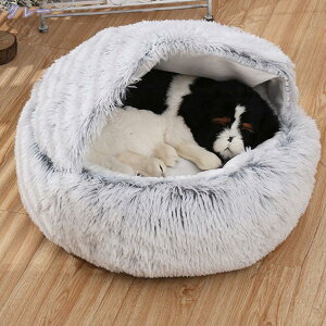 ybgp xbh }bg  L ې ~ߕt ybgxbh ʔN ӂӂ ~p ^ ^ L  xbh NbV 薰 ΍ ybg\t@ ~ @\ g 