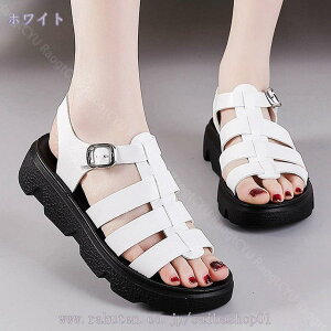 1000~OFFN[| T_ fB[X OJ  V[N\[ 傫TCY TCY ₷ ₷ y OJT_ fB[X T_ XNGAgD tbgT