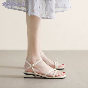 300~OFFN[| T_ EF[ugD 傫TCY TCY ₷ Xgbv NbV [h ɂ ~[ XNGAgD tbg 傫TCY TCY X