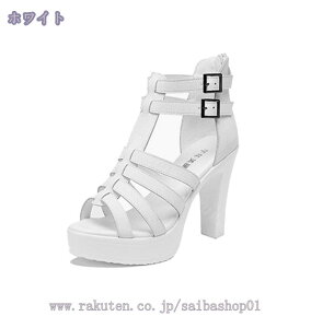 777~OFFN[| OfBG[^[T_ nCq[ T_ fB[X LoT_ Xgbv T_  T}[u[c 傫TCY  T}[u[c fB[X 