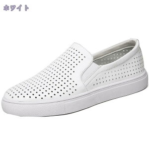 1000~OFFN[| Xb| fB[X   U[ V[Y [t@[ tbg  o[\[ t 2cmq[ n X|[eB[ TCY JWA 傫TC