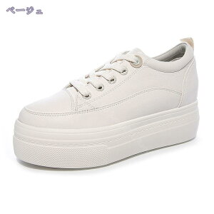 1000~OFFN[|  fB[X Xb| Xj[J[  Cq[ EH[LOV[Y nCq[ EFbW\[ ₷ t y [Jbg JWAV[Y ʋ Xj