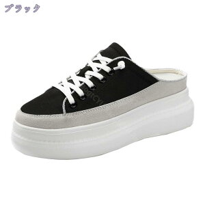 Xb| Xj[J[ ƂȂ fB[X 7.5cmq[ [XAbv r  Ȃ ₷ K [t@[ NbV ʊw ʋ y y d IV 