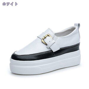 777~OFFN[| Xj[J[ Xb| fB[X Cq[Xj[J[  RȂ Cq[Xb| ₷  y 傫TCY Xb|Xj[J[ [Jbg 