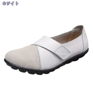 Xb| Xj[J[ XG[htbgV[Y [t@[ L  y ₷ O[ t y V[Y     Ȃ IV o  Vv _炩