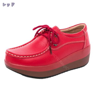 777~OFFN[| JWAV[Y fB[X Xb|  EH[LOV[Y  C t  H C ₷  ɂȂ h  Vv ʊw ʋ fB[XV