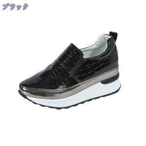 1600~OFFN[| TChSA  Xj[J[ fB[X Xb| n   Vv V[Y  r vbgtH[ 8cm Cq[ JWA  y ₷ 