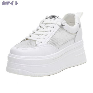  fB[XV[Y bV ăvbgtH[V[Y Xj[J[ Cq[ q[Xb|8cm nCq[ Xj[J[ V[Y ₷ r V[Y [t@[